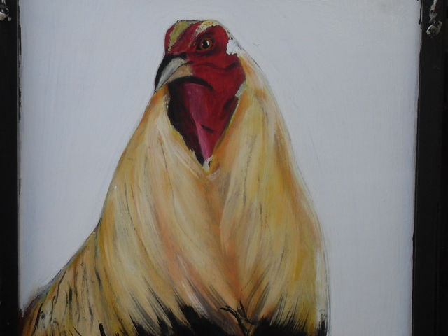 DIBUJOS