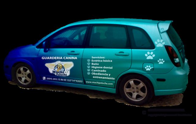 ESTETICA CANINA
